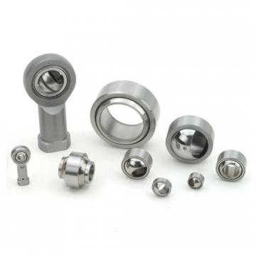 17 mm x 40 mm x 12 mm  FAG NJ203-E-TVP2  Cylindrical Roller Bearings