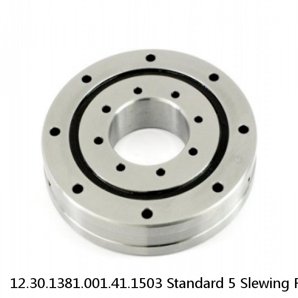 12.30.1381.001.41.1503 Standard 5 Slewing Ring Bearings