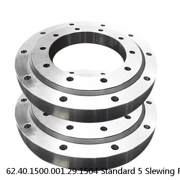 62.40.1500.001.29.1504 Standard 5 Slewing Ring Bearings