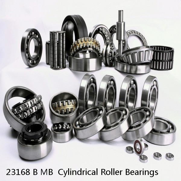 23168 B MB  Cylindrical Roller Bearings