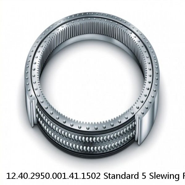 12.40.2950.001.41.1502 Standard 5 Slewing Ring Bearings