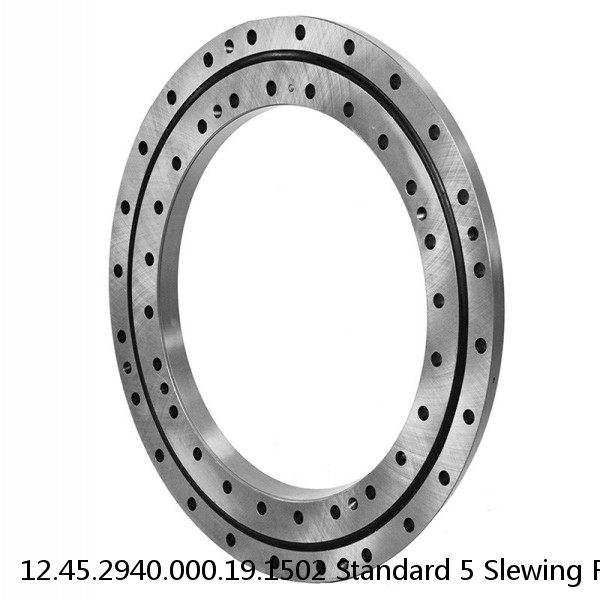 12.45.2940.000.19.1502 Standard 5 Slewing Ring Bearings