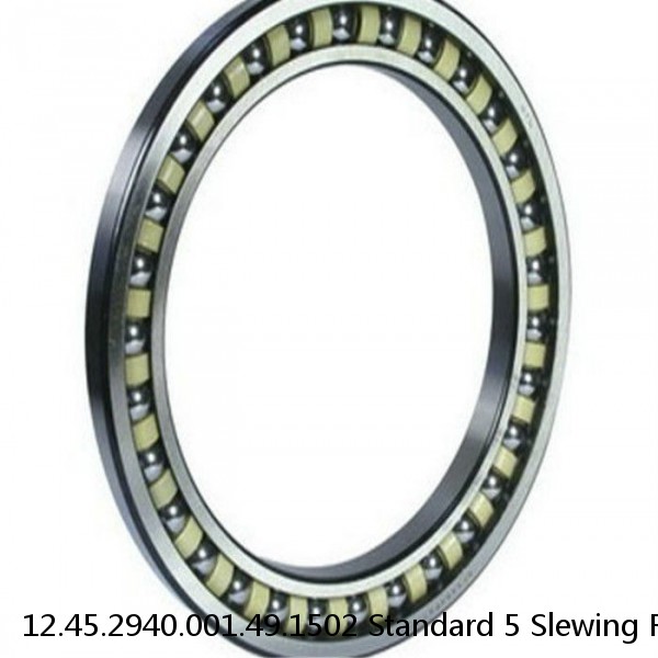 12.45.2940.001.49.1502 Standard 5 Slewing Ring Bearings