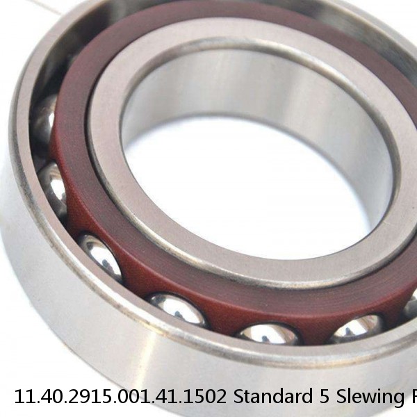 11.40.2915.001.41.1502 Standard 5 Slewing Ring Bearings