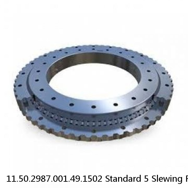 11.50.2987.001.49.1502 Standard 5 Slewing Ring Bearings