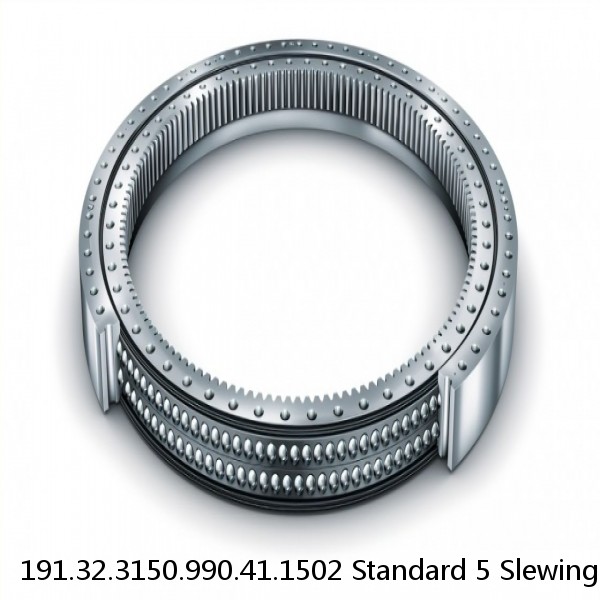 191.32.3150.990.41.1502 Standard 5 Slewing Ring Bearings