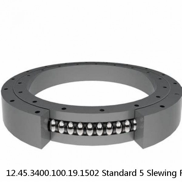 12.45.3400.100.19.1502 Standard 5 Slewing Ring Bearings