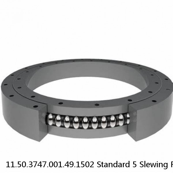 11.50.3747.001.49.1502 Standard 5 Slewing Ring Bearings