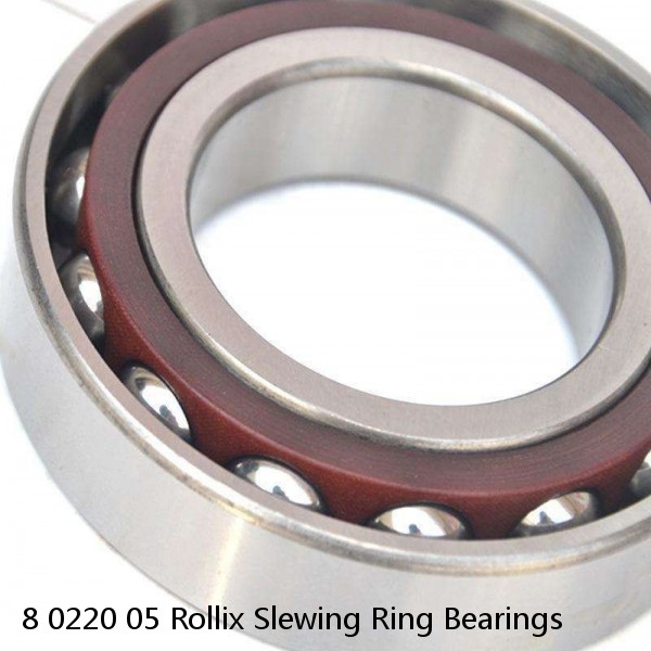 8 0220 05 Rollix Slewing Ring Bearings