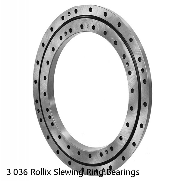 3 036 Rollix Slewing Ring Bearings