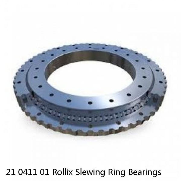 21 0411 01 Rollix Slewing Ring Bearings