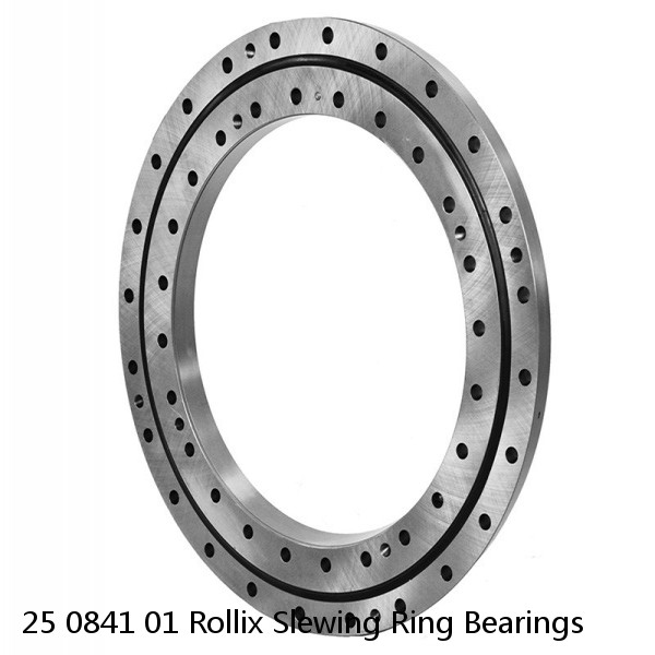 25 0841 01 Rollix Slewing Ring Bearings