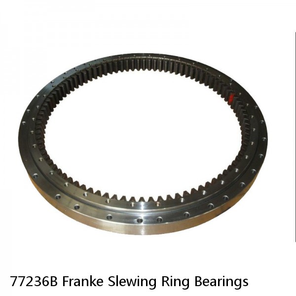 77236B Franke Slewing Ring Bearings