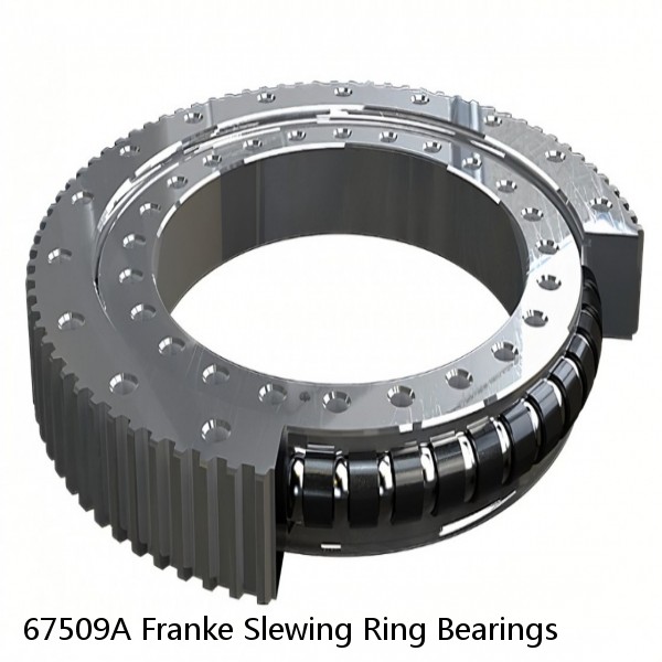 67509A Franke Slewing Ring Bearings