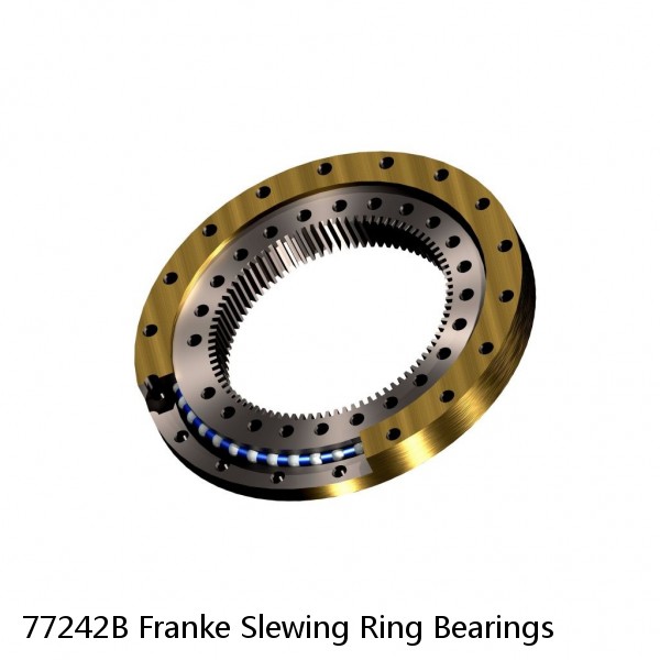 77242B Franke Slewing Ring Bearings