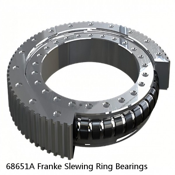 68651A Franke Slewing Ring Bearings