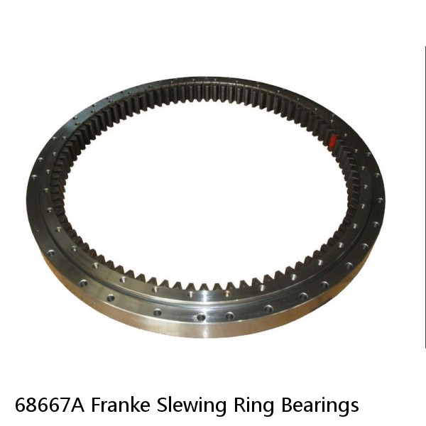 68667A Franke Slewing Ring Bearings