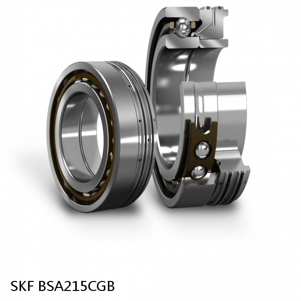 BSA215CGB SKF Brands,All Brands,SKF,Super Precision Angular Contact Thrust,BSA