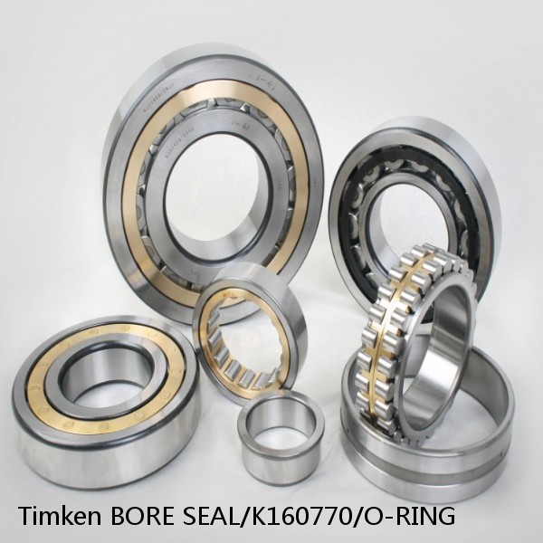 BORE SEAL/K160770/O-RING Timken Cylindrical Roller Bearing